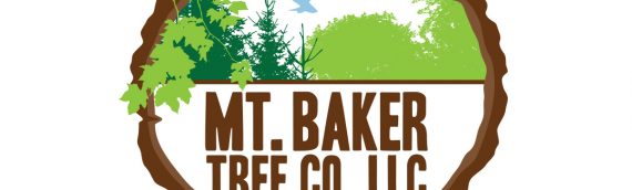 Mt Baker Tree Company