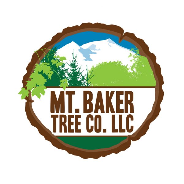 Mt Baker Tree Company