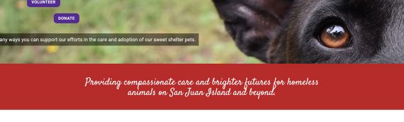 Animal Protection Society – Friday Harbor