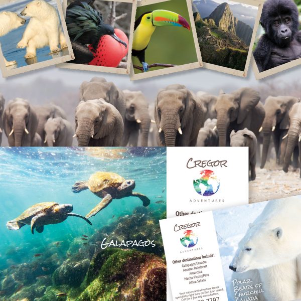 Cregor Adventures Ad Campaign